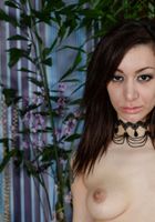 Adriana Slay spreads her juicy lips for you, Adriana Slay (adr043) ATK Exotics: Adriana Slay (Adriana Slay spreads her juicy lips for you)