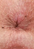 Allie Addison in amateur, Allie Addison (all049) ATK Petites: Allie Addison (Allie Addison in amateur)