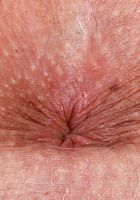 Allie Addison in amateur, Allie Addison (all049) ATK Galleria: Allie Addison (Allie Addison in amateur)