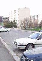 ATK Archives: Aniko (Aniko in nudism)