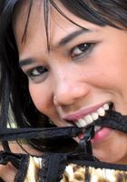Anne in asians, Anne (ann081) ATK Exotics: Anne (Anne in asians)