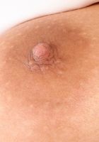 April O'Neil in masturbation, April O'Neil (apr011) ATK Exotics: April O'Neil (April O'Neil in masturbation)