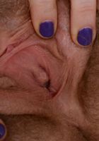 Apricot Pitts in young and hairy, Apricot Pitts (apr024) ATK Natural & Hairy: Apricot Pitts (Apricot Pitts in young and hairy)
