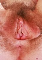Apricot Pitts Sexy Stripping and Spreading, Apricot Pitts (apr024) ATK Natural & Hairy: Apricot Pitts (Apricot Pitts Sexy Stripping and Spreading)