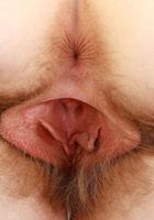 Apricot Pitts from ATK Natural & Hairy