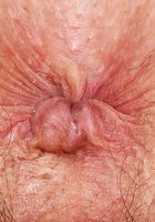 Arielle Lane from ATK Natural & Hairy