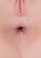 Avery Stone in babes, Avery Stone (ave008) ATK Galleria: Avery Stone (Avery Stone in babes)
