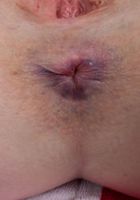 ATK Galleria: Avery Wilds (Girl Next Door, Avery Wild Spreads Her Shaved Pussy)