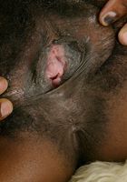 ATK Exotics: bette (bette in black women)