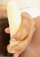 ATK Exotics: Cat (Cat in toys)