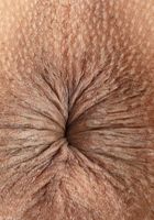 ATK Exotics: Cecilia Lion (Cecilia Lion Toys Her Twat)