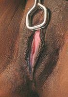 Charise in masturbation, Charise (cha018) ATK Exotics: Charise (Charise in masturbation)
