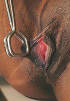 Charise in masturbation, Charise (cha018) ATK Exotics: Charise (Charise in masturbation)