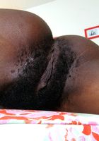 Charlotte in black women, Charlotte (cha033) ATK Exotics: Charlotte (Charlotte in black women)