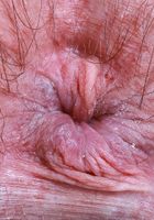 ATK Petites: Annabelle Lee (Annabelle Lee is in pretty pink bra and panties)