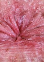 ATK Natural & Hairy: Dakota Marr (Dakota Marr likes to play rough)