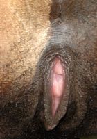 Nina Devon's lovely pussy revealed, Nina Devon (dej001) ATK Exotics: Nina Devon (Nina Devon's lovely pussy revealed)