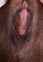 ATK Exotics: Evi Rei (Evi Rei in black women)