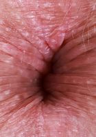 ATK Galleria: Harlow West (Halow West Lingerie Shaved Pussy Spreads)