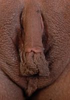 Jayla in upskirts and panties, Jayla (jay020) ATK Exotics: Jayla (Jayla in upskirts and panties)