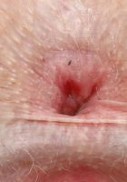 Jayme Rae in masturbation, Jayme Rae (jay050) ATK Galleria: Jayme Rae (Jayme Rae in masturbation)
