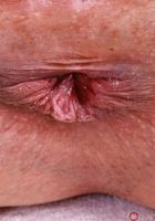 ATK Petites: Julia James (Neon green is Julia James' color)