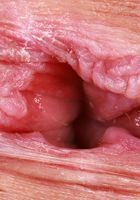 ATK Petites: Julia James (Neon green is Julia James' color)