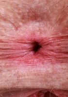 ATK Galleria: Juniper Ren (Juniper Ren Upskirt Panties Foot Fetish Pussy Spreads)