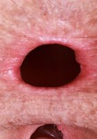 ATK Galleria: Juniper Ren (Juniper Ren Shaved Pussy and Gaping Ass Spreads)