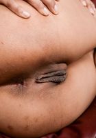 Karmen Bella brightens your day with her sweet smiles., Karmen Bella (kar107) ATK Exotics: Karmen Bella (Karmen Bella brightens your day with her sweet smiles.)