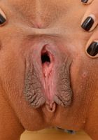 Karmen Bella Shows You Her Hot Body, Karmen Bella (kar107) ATK Exotics: Karmen Bella (Karmen Bella Shows You Her Hot Body)