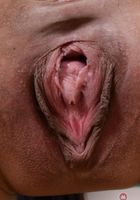 ATK Exotics: Katana (Katana in asians)