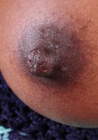 Hairy black model Kiana spreads her pink pussy, Kiana Love (kia003) ATK Natural & Hairy: Kiana Love (Hairy black model Kiana spreads her pink pussy)