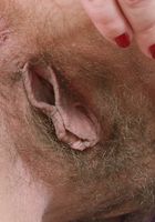 Hairy amateur Kseniya teases and spreads her hairy pussy, Kseniya (kse005) ATK Archives: Kseniya (Hairy amateur Kseniya teases and spreads her hairy pussy)