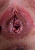 ATK Galleria: Kyler Quinn (Kyler Quinn dressed to be bad in fishnet)