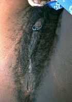 Latrese in nudism, Latrese (lat005) ATK Exotics: Latrese (Latrese in nudism)