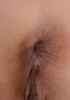 Lilly Hall in latinas, Lilly Hall (lil090) ATK Exotics: Lilly Hall (Lilly Hall in latinas)