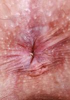 ATK Galleria: Lilibet Saunders (Lilibet Saunders knows what you need)