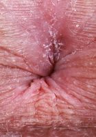 ATK Galleria: Lily Winters (Lily Winters in white top and denim shorts)