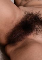 Lulu Sparkle in exotic and hairy, Lulu Sparkle (lul009) ATK Natural & Hairy: Lulu Sparkle (Lulu Sparkle in exotic and hairy)