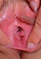 Maci parts her pink hairy pussy, Maci May (mac016) ATK Natural & Hairy: Maci May (Maci parts her pink hairy pussy)
