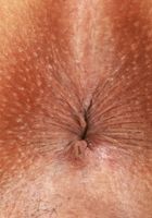 Maya Farrell Outdoor Nudity, Maya Farrell (may024) ATK Exotics: Maya Farrell (Maya Farrell Outdoor Nudity)