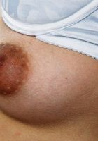 ATK Exotics: Melosa (Melosa in upskirts and panties)