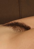 Hairy Mollee spreads her pussy, Mollee (mol025) ATK Archives: Mollee (Hairy Mollee spreads her pussy)