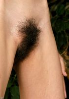 Nicki in latinas, Nicki (nic027) ATK Exotics: Nicki (Nicki in latinas)