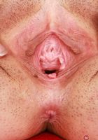 Nova Vixen Outdoor Nudes, Nova Vixen (nov003) ATK Galleria: Nova Vixen (Nova Vixen Outdoor Nudes)