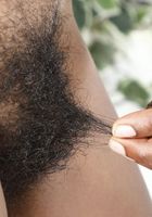 Panreece in exotic and hairy, Panreece (pan013) ATK Natural & Hairy: Panreece (Panreece in exotic and hairy)