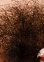 Penelope Reed in exotic and hairy, Penelope Reed (pen027) ATK Natural & Hairy: Penelope Reed (Penelope Reed in exotic and hairy)
