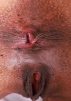 Rue from ATK Exotics