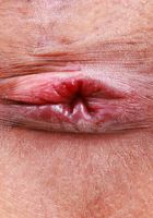 ATK Petites: Salee Lee (Salee Lee is back for more)